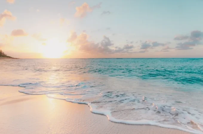 A Closer Look at the World of Independent Artists