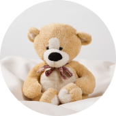 teddy
